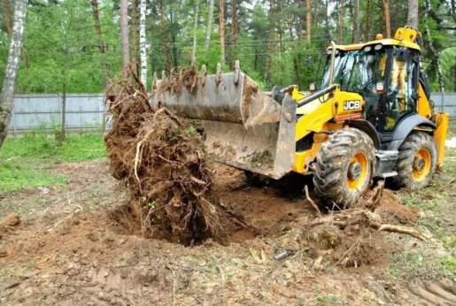 Удаление пней и корчевание вручную и со спецтехникой стоимость услуг и где заказать - Апрелевка