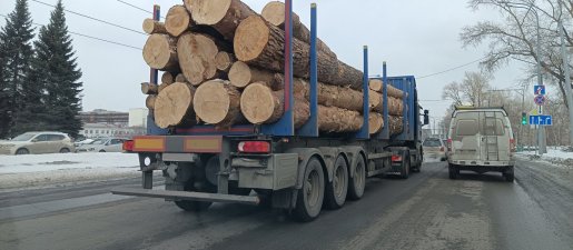 Поиск транспорта для перевозки леса, бревен и кругляка стоимость услуг и где заказать - Москва